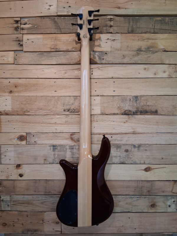 Spector NS-2000/5 Dan Briggs, 2nd Hand